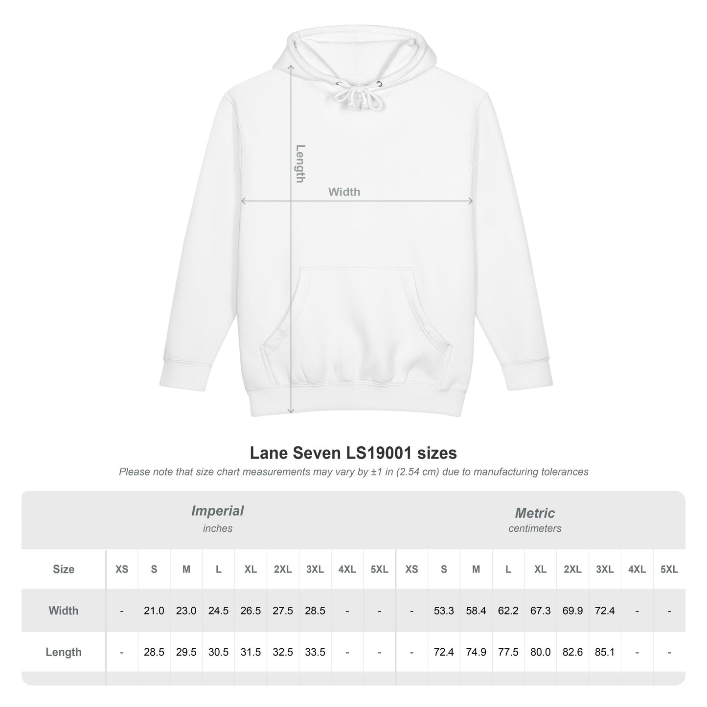 Champion Hoodie — 'Better Than That' Motivational Hooded Sweatshirt
